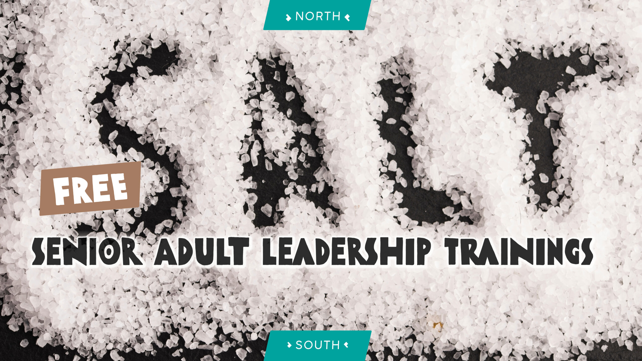 Senior Adult Leadership Trainings